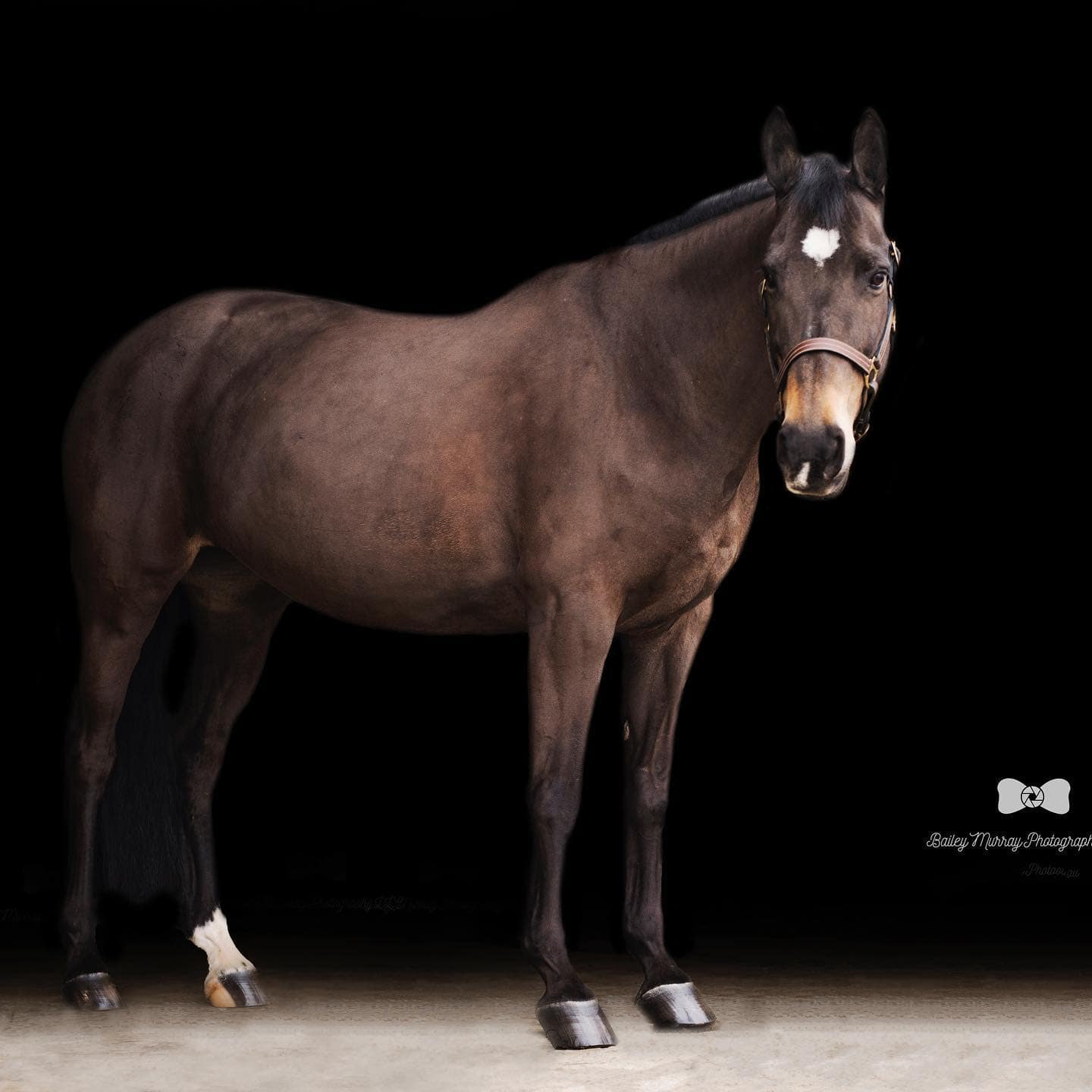 95376473_837851033409326_4096018397895065600_n