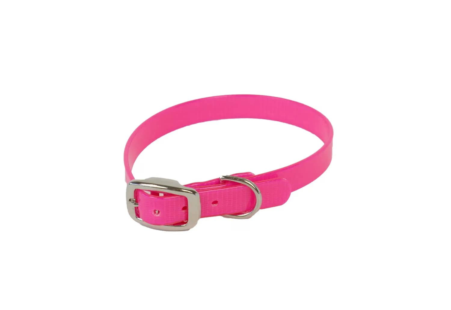 Small Dog Collars - Image 6
