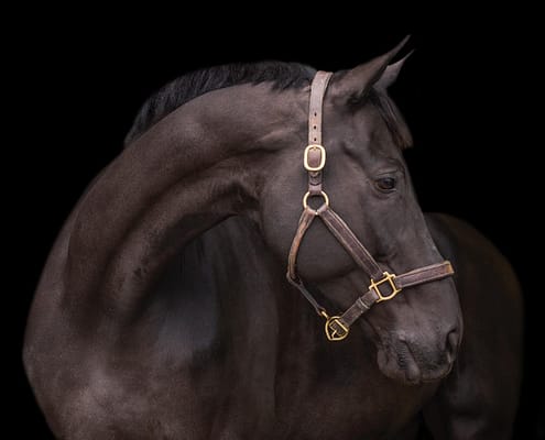 266830927_1245160276011731_1542134005983875369_n