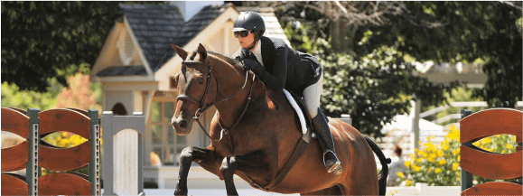 services_inbarnleases