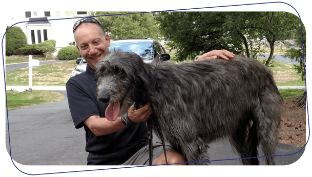 dog assessment
