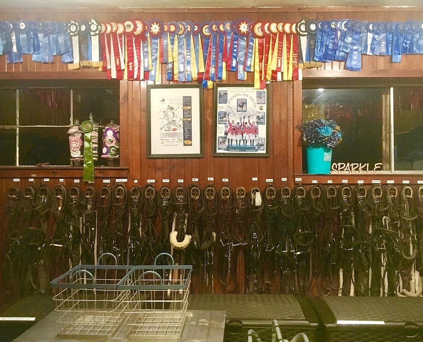 271202900_1257777521416673_6537674645264569075_n