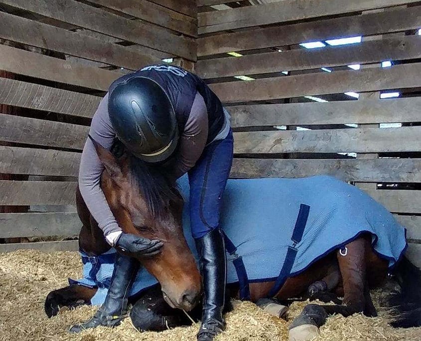 98341368_10113371373532073_6143608721567121408_n